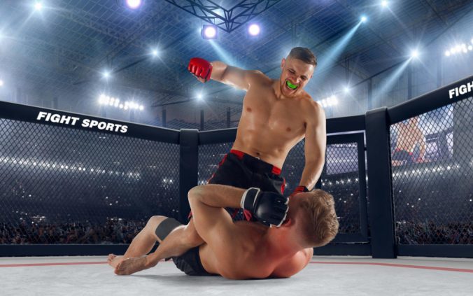 Mix Fight